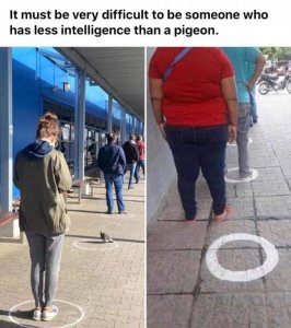 94082256_10156650060847723_788551189477195776_n.jpg