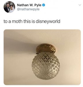 disneyworld.jpg