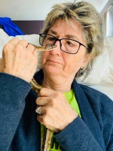 94064509_10159723811369408_6639454531157491712_n.jpg 94064509_10159723811369408_6639454531157491712_n.jpg