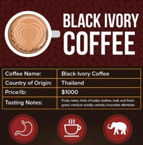 Black_Ivory_large.jpg