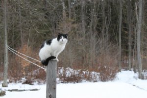 birdWatching.jpg