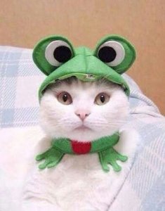 Froggy @.jpg