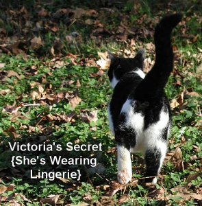 Victoria's Secret.jpg