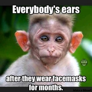 FB_IMG_15885485452342120.jpg