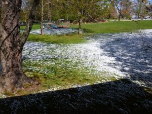 garder and snow small.JPG