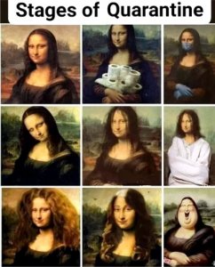 Mona Lisa in Quarantine-lr.jpg