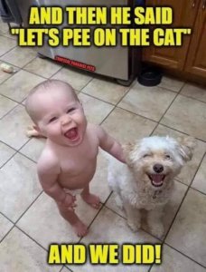 CA7FD778-78A1-46E3-9505-0419CDC717B4.jpeg