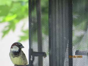50D89FC3-0E91-4613-8BCB-2311AD419968.jpeg