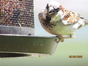 34C60947-5607-4D23-B813-F21A6F165A29.jpeg