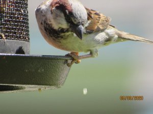 31336F13-F5AE-4747-8101-1C2E7996B85B.jpeg