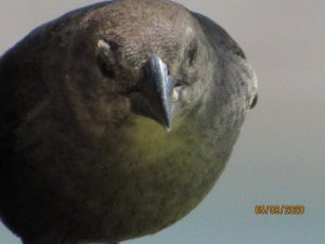 0A795955-2D19-4D8E-B2F7-1DA9B56FF623.jpeg