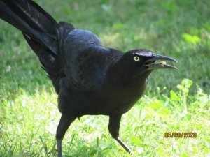 324C8402-C6C5-4C4A-BF8F-88A1CDF383AA.jpeg