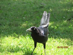 A0465E6C-8B34-44C0-8D29-F38BFC07B323.jpeg