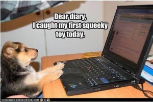 funny-dog-diary.jpg