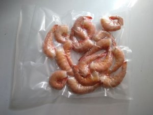 shrimp.jpg