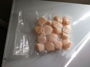 scallops.jpg
