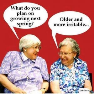 21d6637eb0e1f781bd01d79fa1b20177--farts-funny-funny-memes.jpg