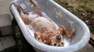 Bath @.jpg