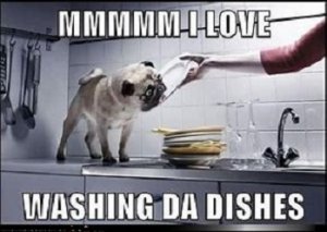 old dishwasher.jpg