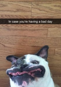 8F395758-EDD0-474C-A800-6165E3118FD8.jpeg