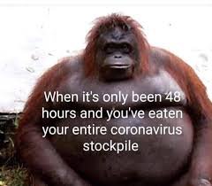 funny 1.jpeg