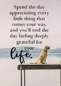 #InspirationalQuotes #positivequotes….jpeg