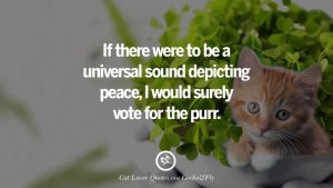cute-cat-image-quotes-05.jpg