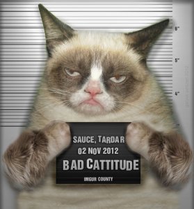 29686-tardcat-county-lockup-grumpy-c-i91c.jpg