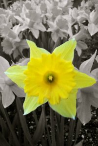 IMG_0056.jpg