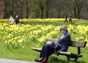 a-lady-sits-on-a-bench-in-sefton-park-liverpool-during-the-warm-spring-weather-dailymail-co-uk...jpg