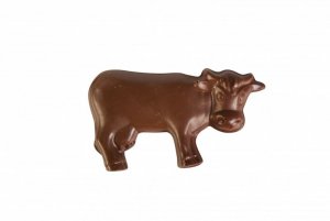Cow-1024x683.jpg