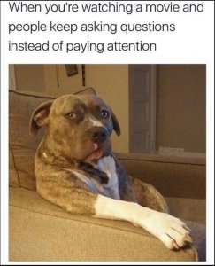 payingattention.jpg