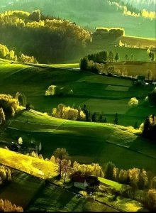 green..jpg