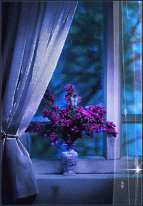 Today 21.gif