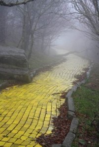 tumblr_mt3300jCFb1r312weo1_640.jpg