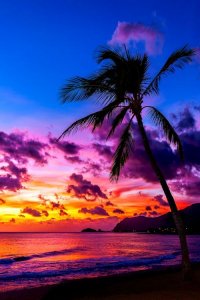 48d1f1aacf6cd11505175953c2bde6f4.jpg