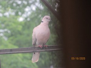 67923C5D-D796-4D09-8318-6C52C31EC3BE.jpeg