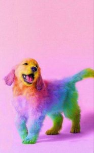 Maltrato animal.jpeg