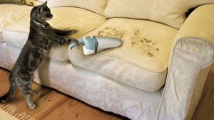 Vacuuming @.jpg