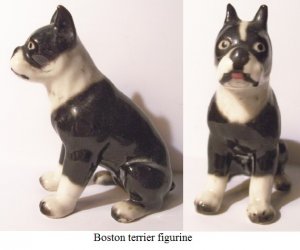 Boston terrier.jpg
