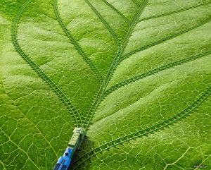 1-photo-manipulation-train-leaf-staudinger-franke.preview.jpg