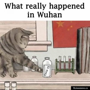 wuhan.jpg