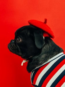 charles-deluvio-oWTW-jNGl9I-unsplash.jpg
