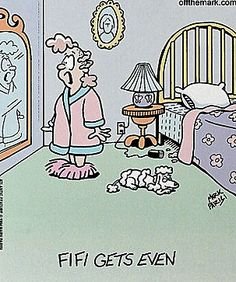 bd605ff0255ccacd46caddb6792ba62b--dog-jokes-dog-funnies.jpg