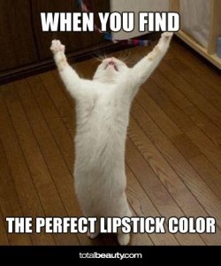 meme-perfectlipcolor.jpg