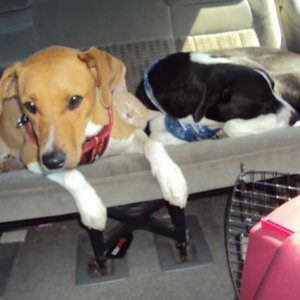 Lennie & Carl & Alfredson.jpg