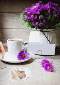 3621803B-9F70-427E-B6C8-C4EFB489F460.gif