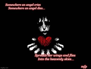 429ri7.jpg 429ri7.jpg