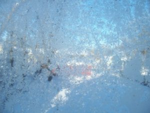 window frost.jpg