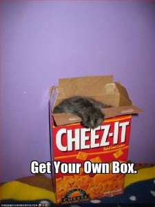 cat-has-his-own-box-of-cheese-crackers.jpg